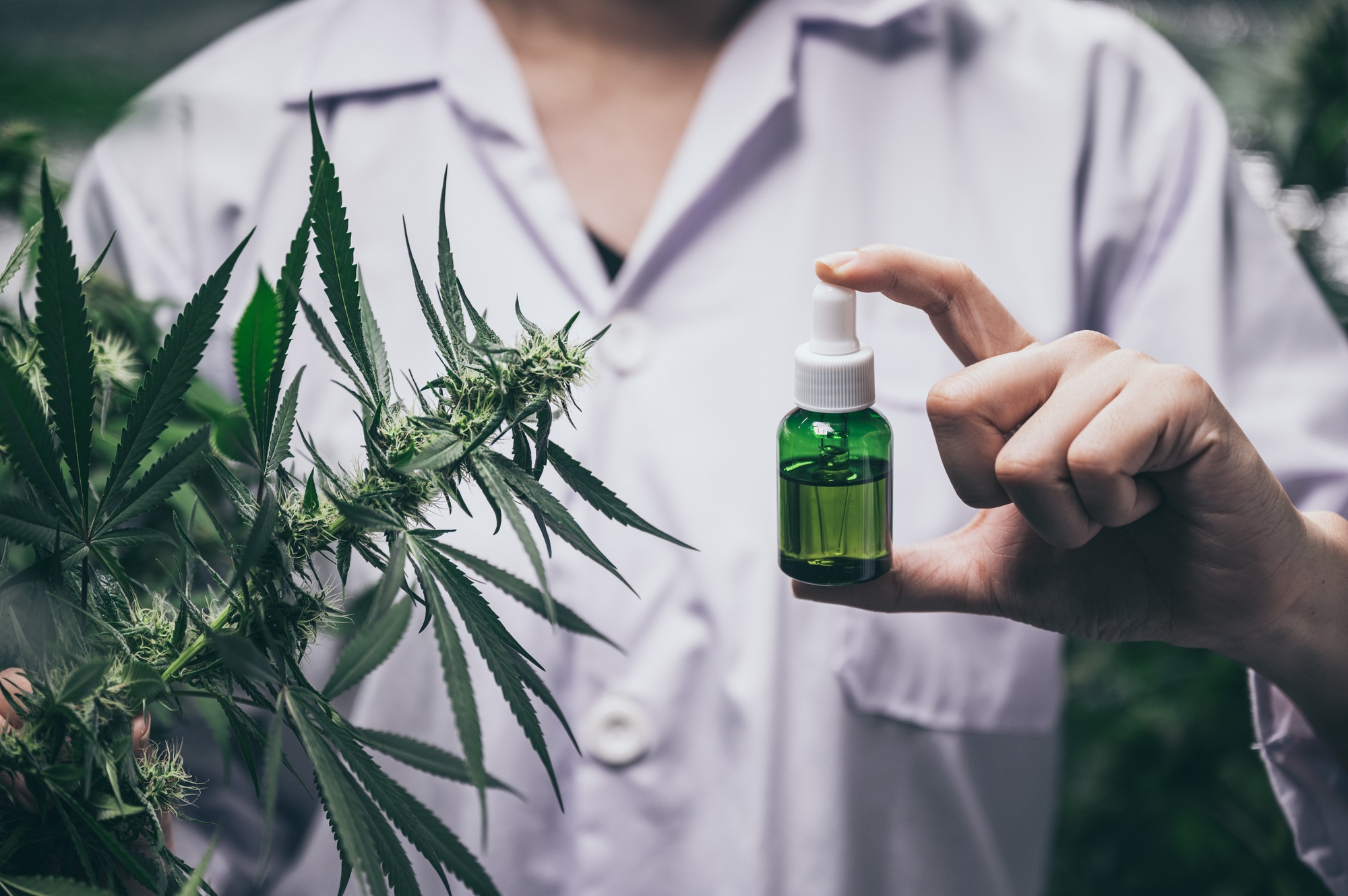 PureCBD CBD oil bottle with scientific research background